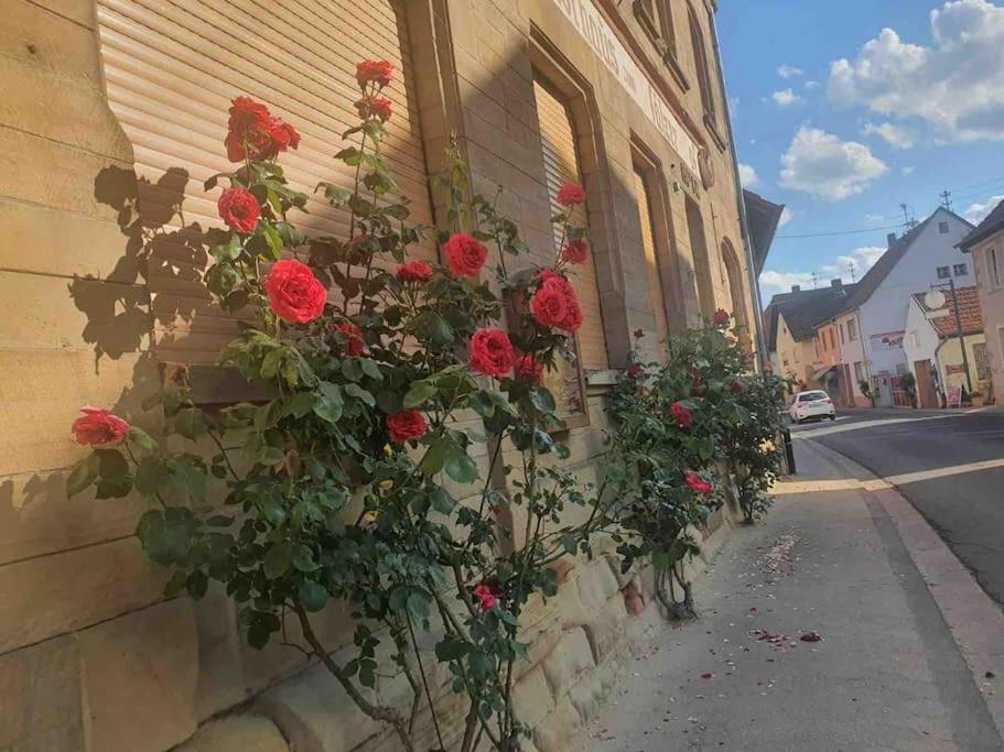 DuchrothWohlfuehloase Auf 133-160Qm In Der Idylle An Der Naheアパートメント エクステリア 写真